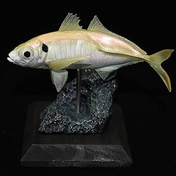 ハンドメイド　48cmダトニオ シャムタイガー　フィギュア　レプリカ　置物　魚 48cm ダトニオ 魚 フィギュア 立体・オブジェ fish craft REAL